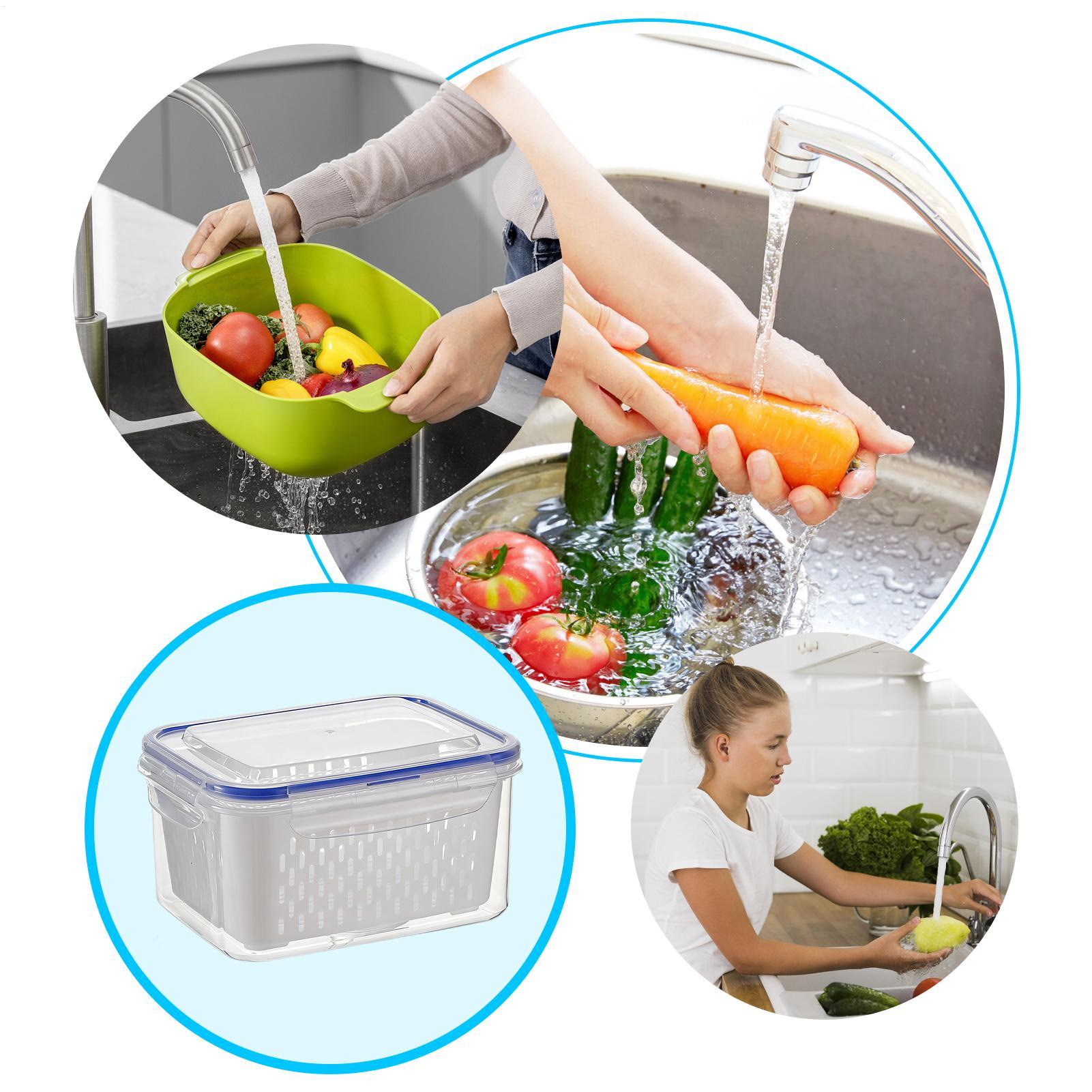 4 In 1 Food Storage Container  - Food Storage Containers review and price