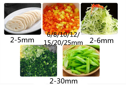 Automatic Vegetable Potato Dic - Vegetable Chopper review and price
