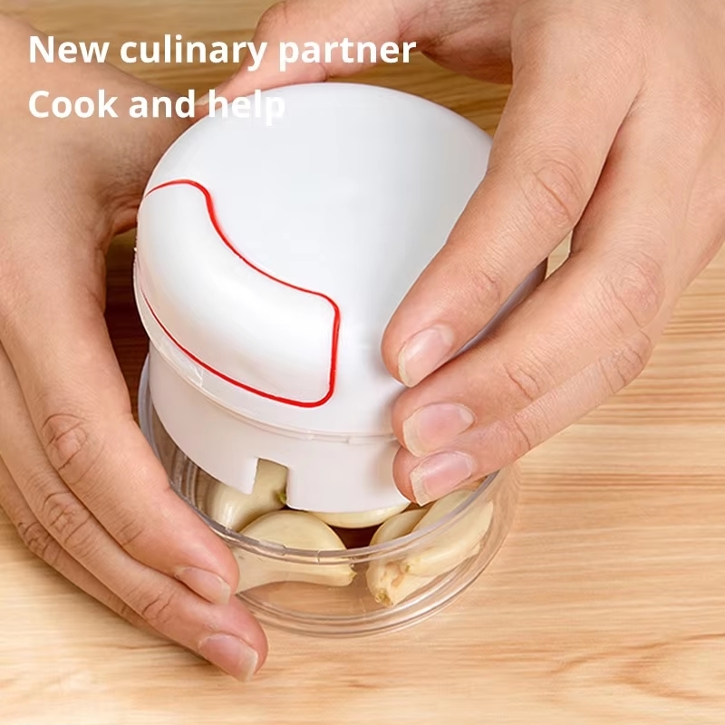 1PC Mini Garlic Crusher Press  - Kitchen Gadgets Vegetable Cutter review and price