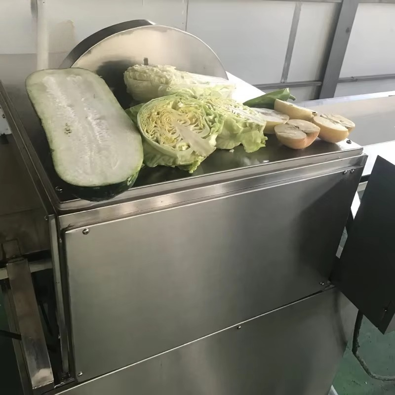 Vegetable processing chopper p - Vegetable Chopper review and price