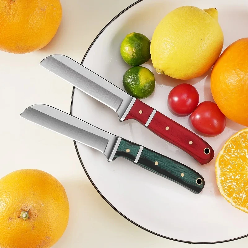 Stainless steel Fruit peeler S - Vegetable Kitchen Gadgets review and price